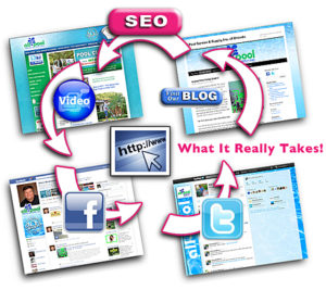 social media management